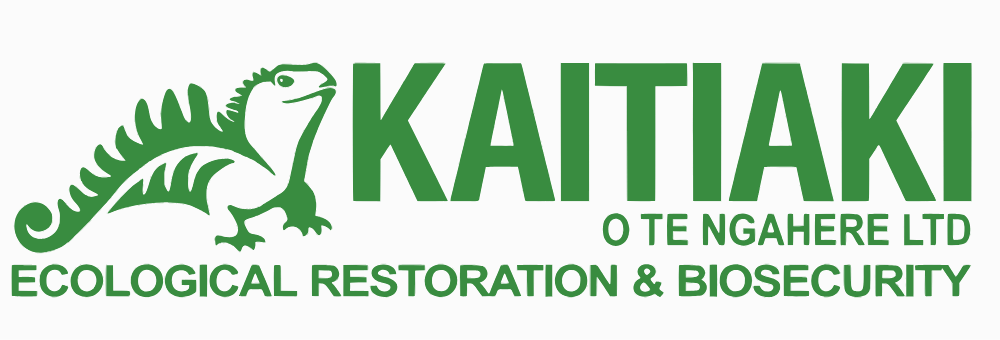 Logo gốc Kaitiaki & Indigena